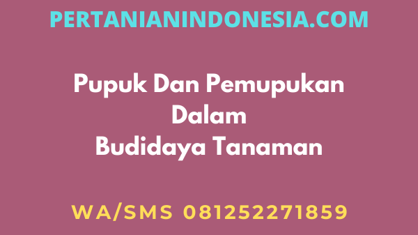 Pupuk Dan Pemupukan Dalam Budidaya Tanaman